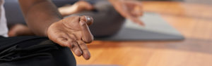 Viniyoga Classes - Yoga online on zoom, and in Sonoma County, Hawaii and Italy retreats