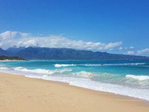 Viniyoga study - online classes