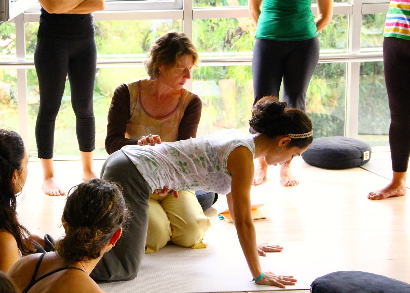 Viniyoga for Small Groups, Retreats