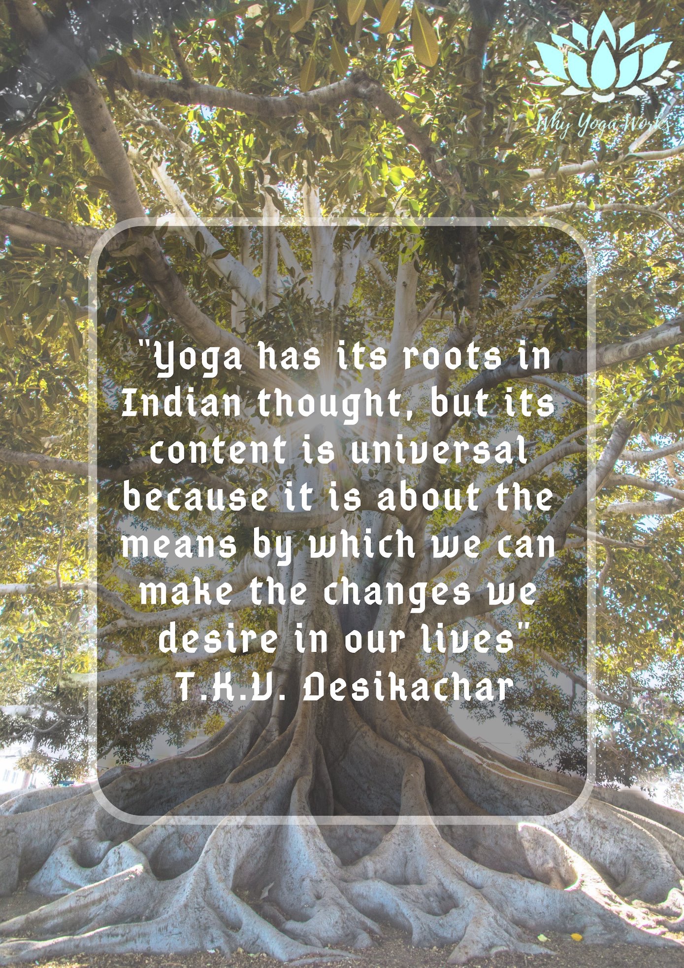 Why Yoga Works, TKV Desikachar, Viniyoga