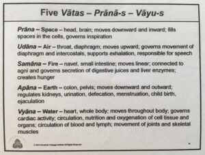 Five Vatas-Pranas-Vayus
