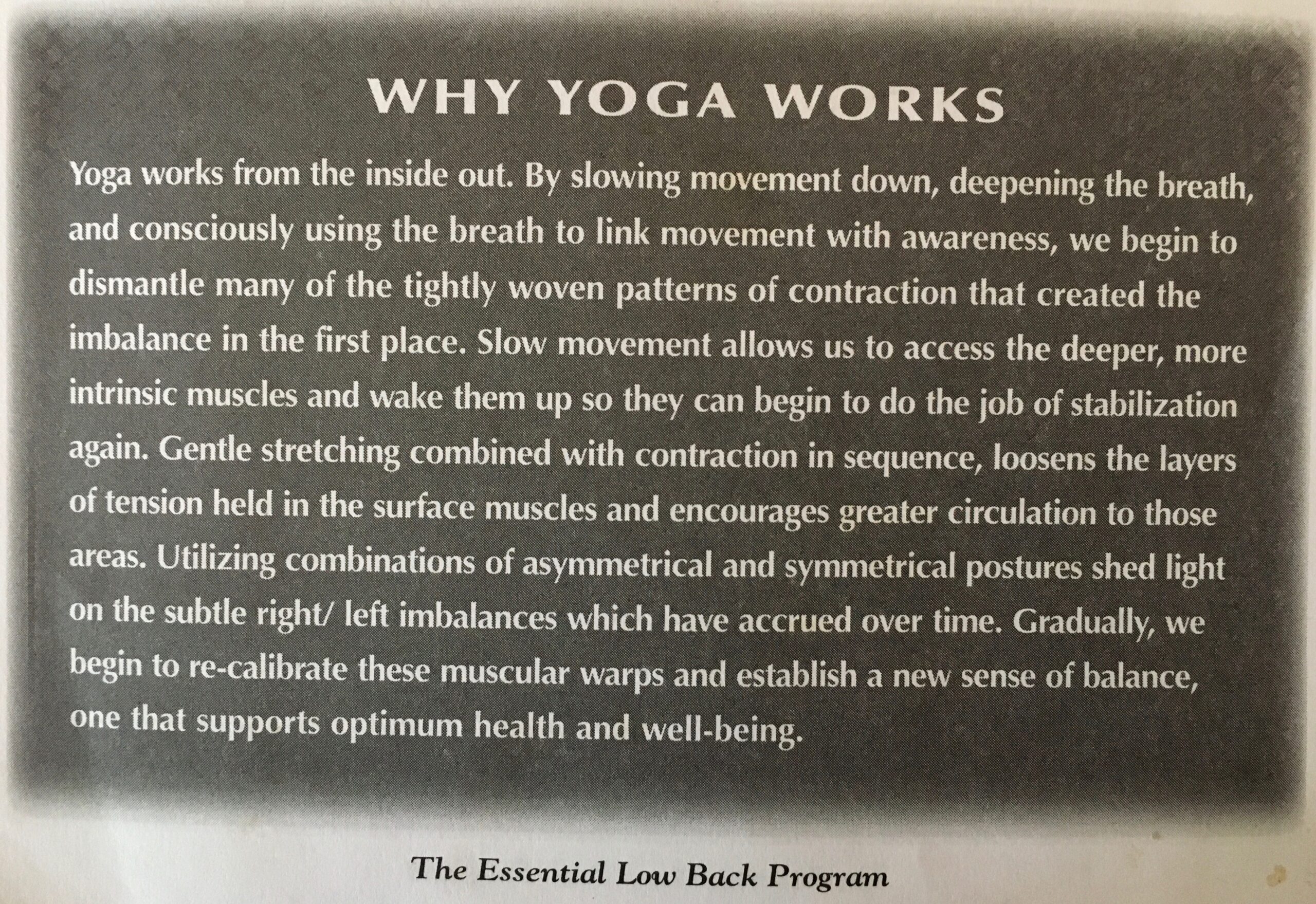 Why Yoga Works