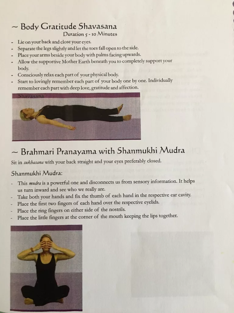 Body Gratitude Savasana - Brahmari Pranayama w Shanmukhi Mudra