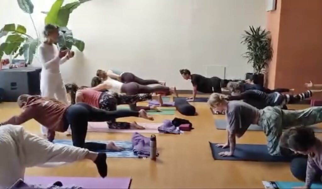 Viniyoga yoga classes with asana, vedic scripture sutra study, pranayama, chanting and more