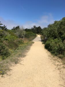 Yoga Retreat in Assisi Italy with Mirka Scalco Kraftsow - Meditating in Assisi