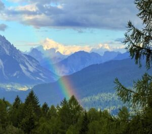 Online yoga classes, viniyoga, asana, sutra study, pranayama