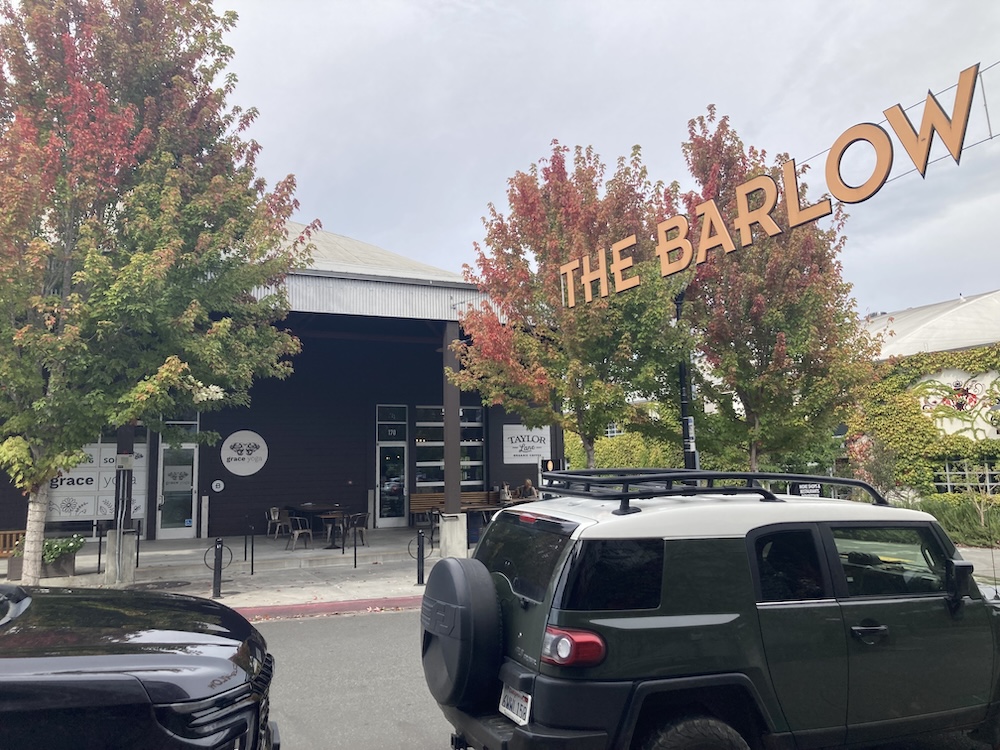 Grace Yoga Studio in the Barlow, Sebastopol, Sonoma County, California, yoga classes with Mirka Scalco Kraftsow, Viniyoga